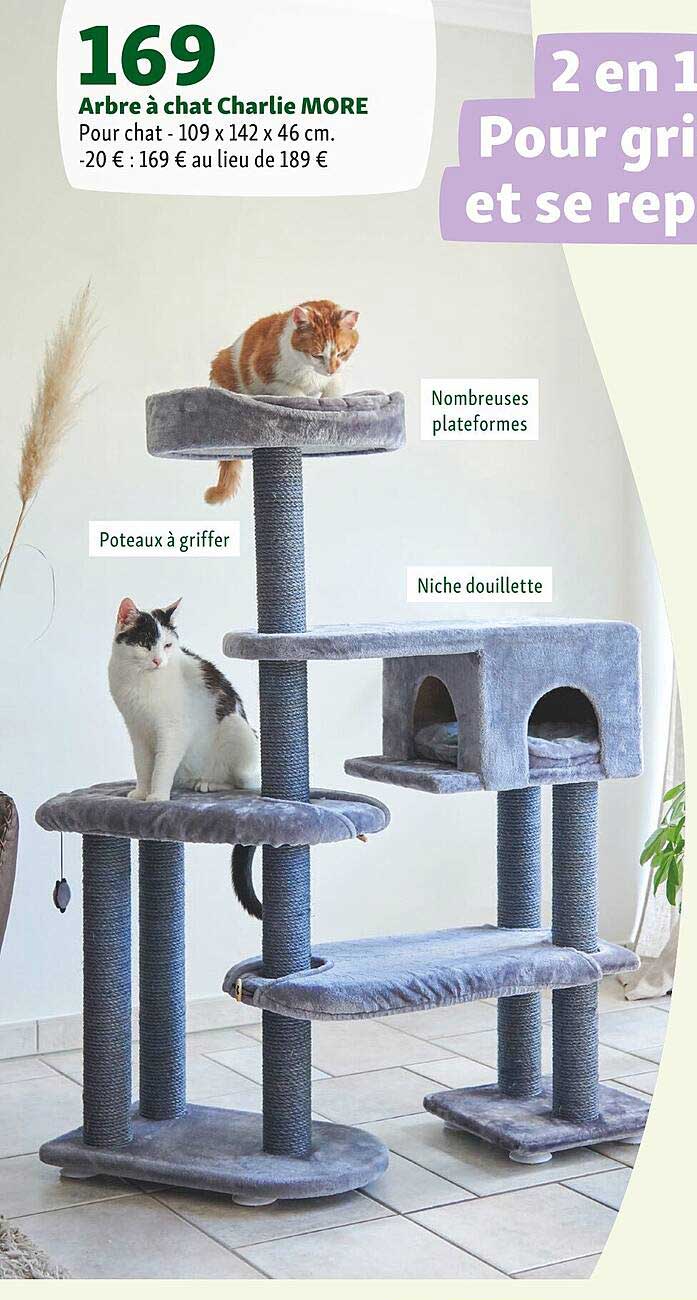 arbre à chat charlie more  pour chat