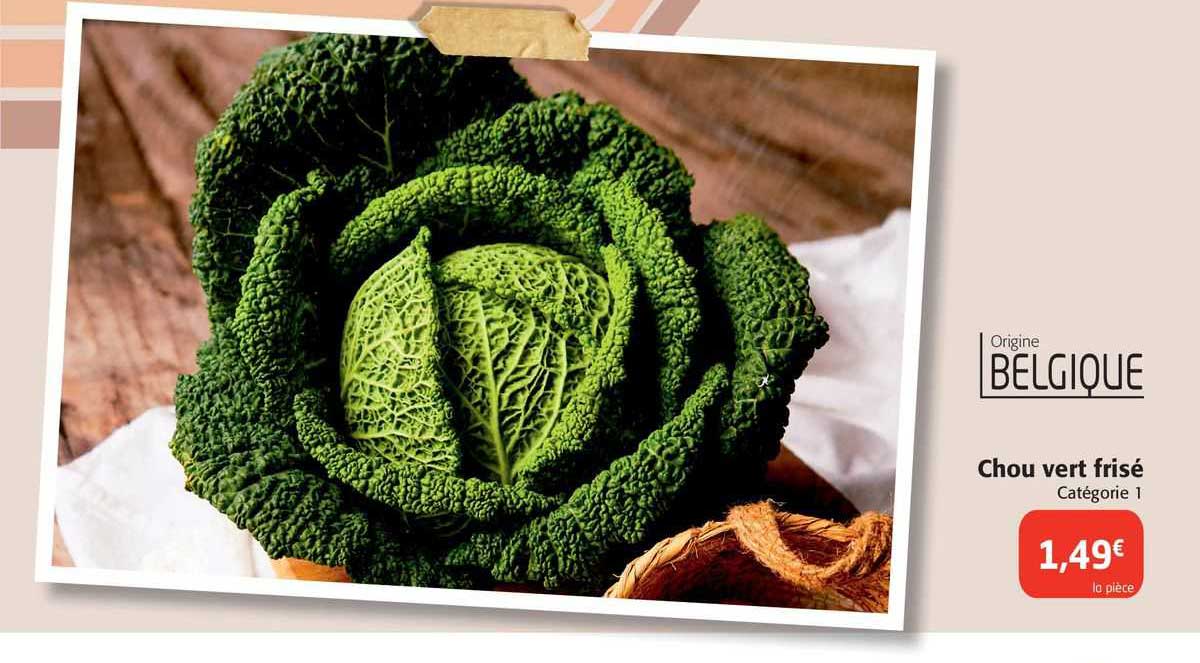 chou vert frisé