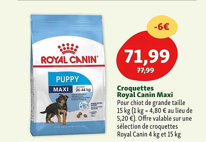 croquettes royal canin maxi