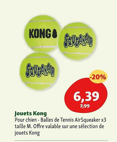 jouets kong pour chien