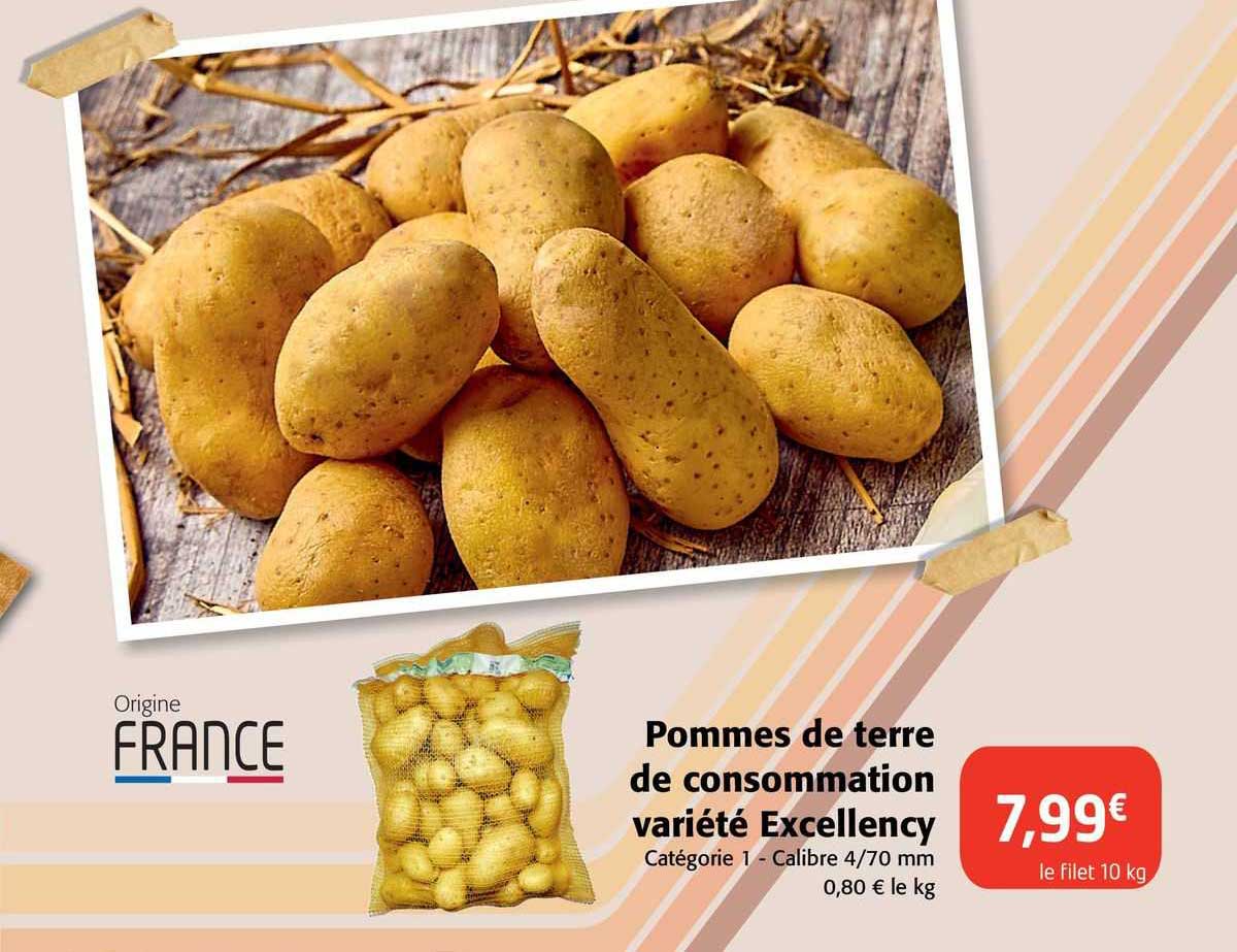 pommes de terre de consommation variété excellency