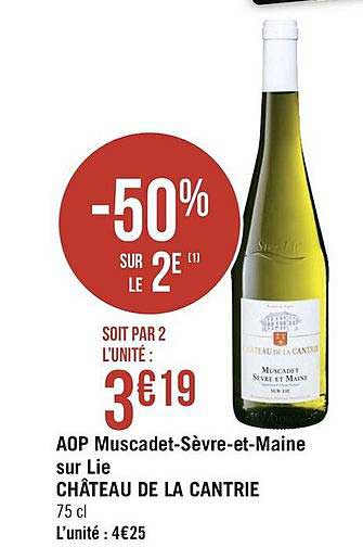 Aop Muscadet-sèvre-et-maine Sur Lie Château De La Cantri
