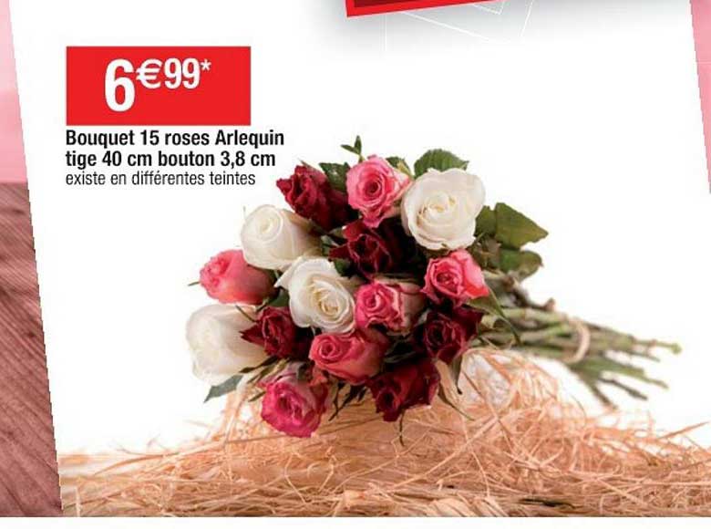 bouquet 15 roses arlequin tige 40 cm bouton 3,8 cm