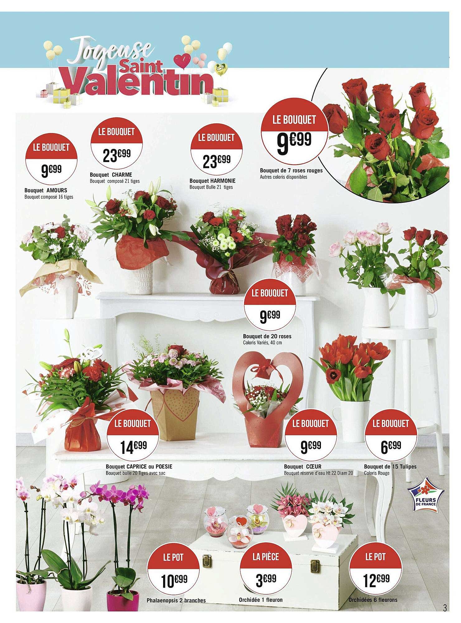 bouquet amours, bouquet charme, bouquet harmonie, bouquet de 7 roses rouge, bouquet de 20 roses, bouquet caprice ou poésie, bouquet cœur, bouquet de 15 tulipes, phalaenopsis 2 branches, orchidée 1 fleuron, orchidée 6 fleurons