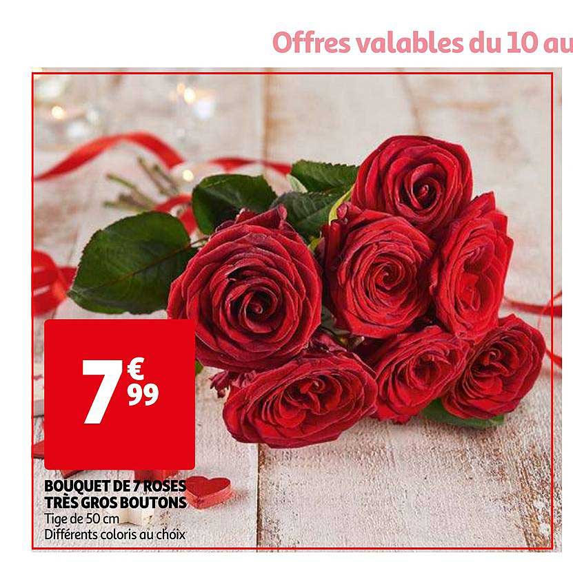 Bouquet De 7 Roses Très Gros Boutons