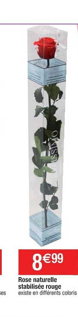 rose naturelle stabilisée rouge
