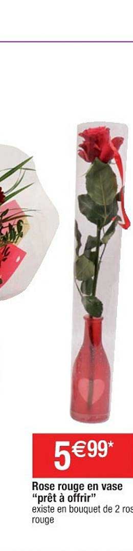 rose rouge en vase "prêt à offrir"