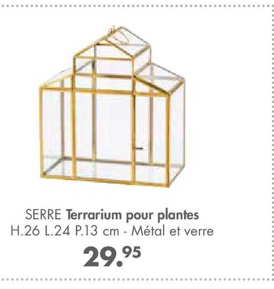 Terrarium Pour Plantes Serre