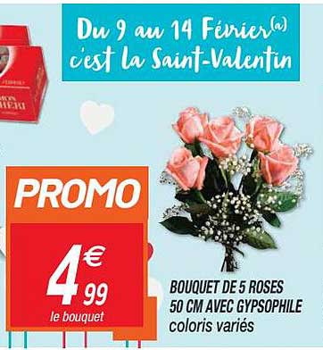 Bouquet De 5 Roses 50 Cm Avec Gypsophile