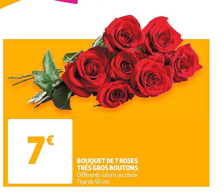 Bouquet De 7 Roses Très Gros Boutons