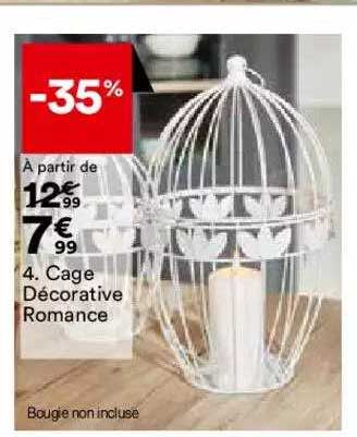 cage décorative romance