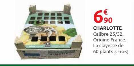 charlotte calibre 25 32