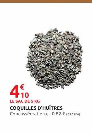 coquilles d'huîtres