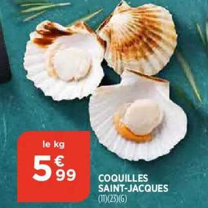 coquilles saint-jacques