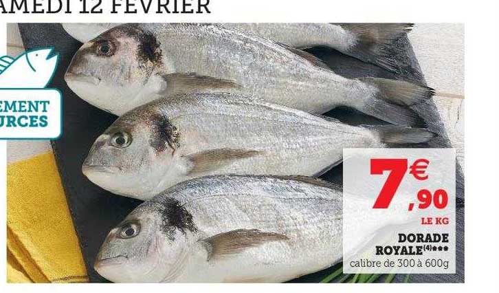 Dorade Royale