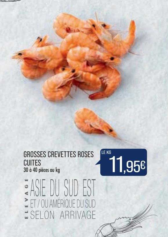 grosses crevettes roses cuites