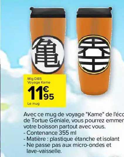 mig dbs voyage kame