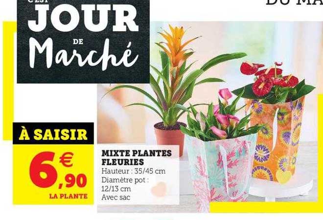 mixte plantes fleuries