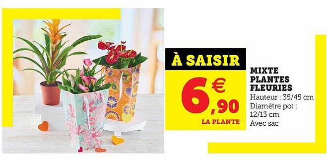 mixte plantes fleuries