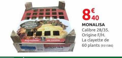 monalisa calibre 28 35