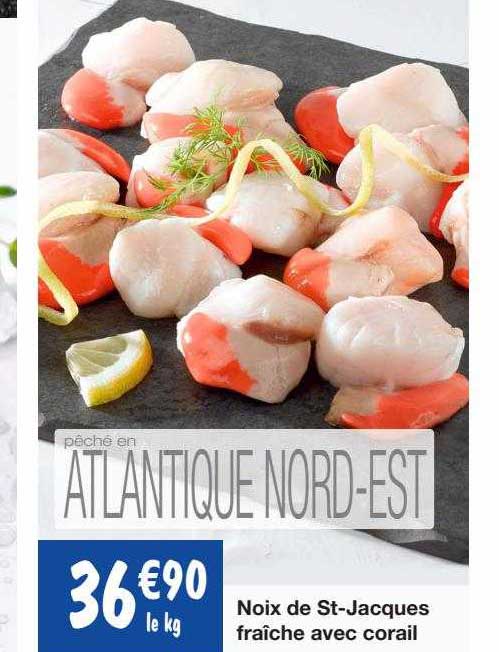 noix de st-jacques fraîche avec corail