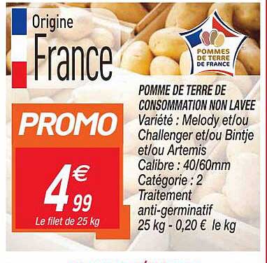 pomme de terre de consommation non lavee