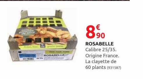 rosabelle calibre 25 35