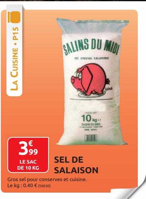 sel de salaison