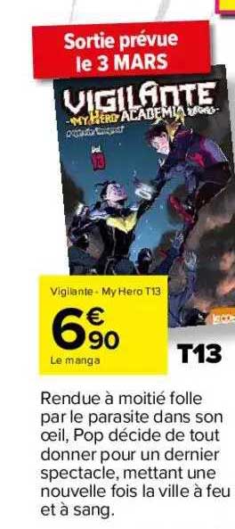 vigilante - my hero t13