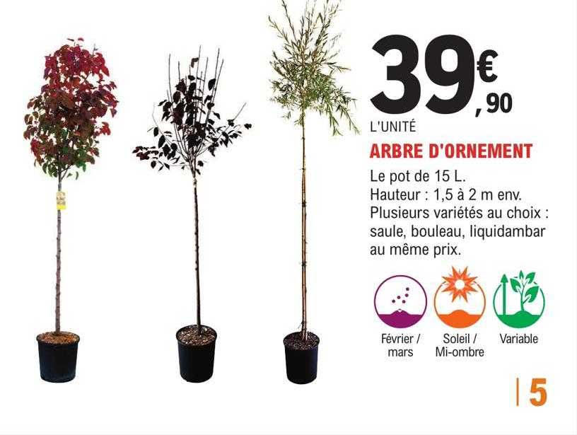 arbre d'ornement