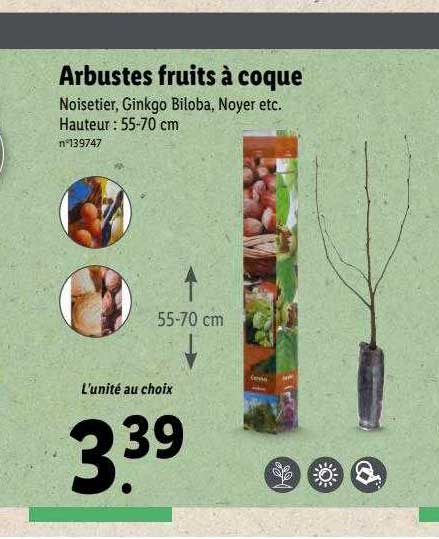 Arbustes Fruits à Coque