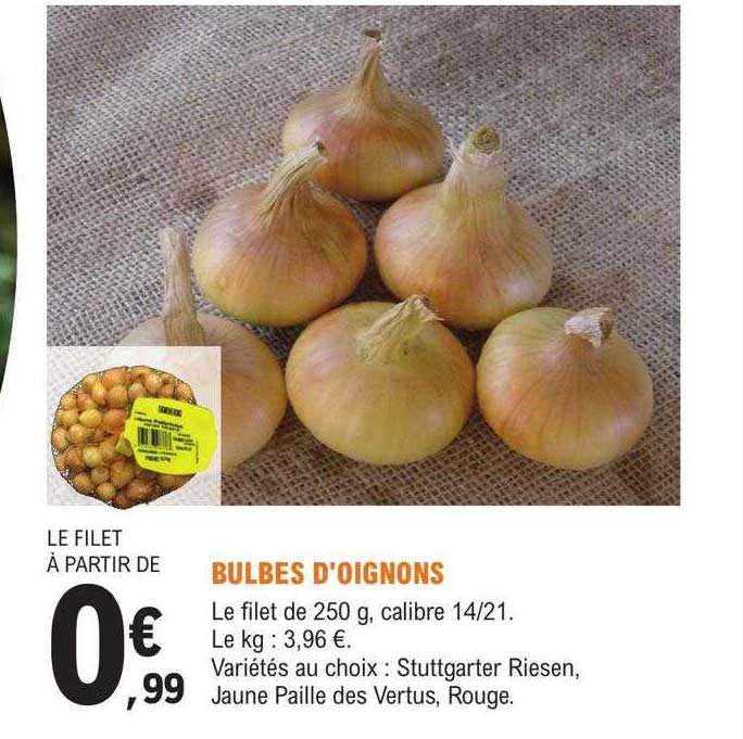 Bulbes D'oignons