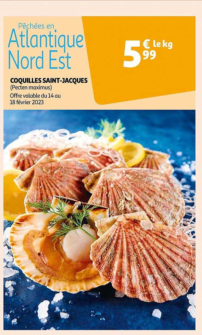 coquilles saint-jacques