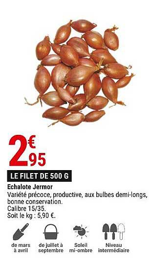 échalote jermor