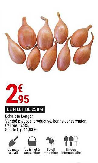 échalote longor