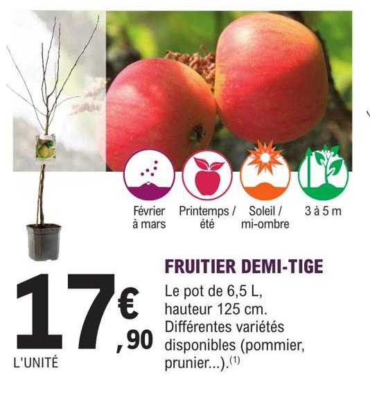 fruitier demi-tige