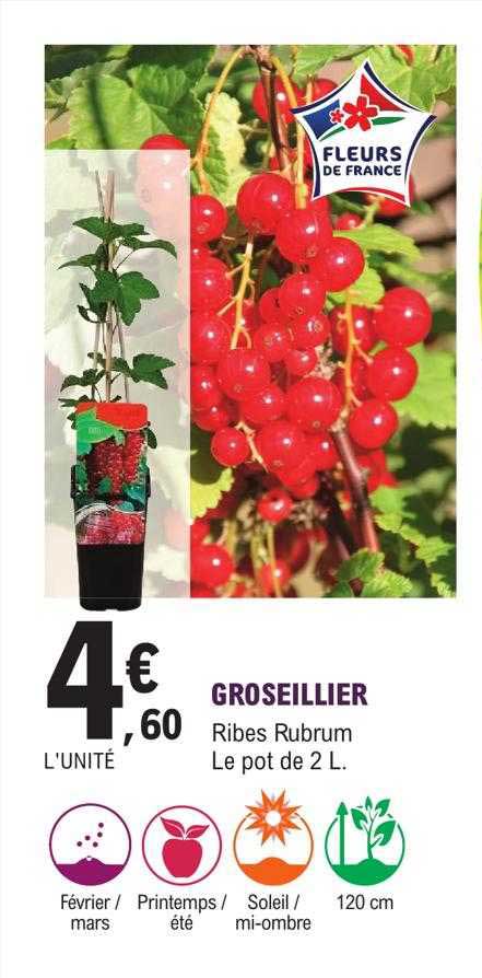 groseillier