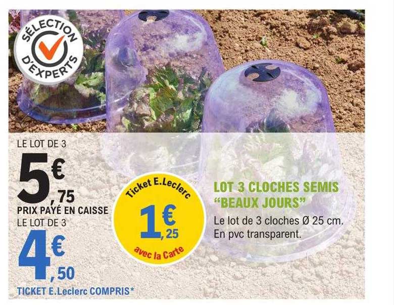 lot 3 cloches semis "beaux jours"