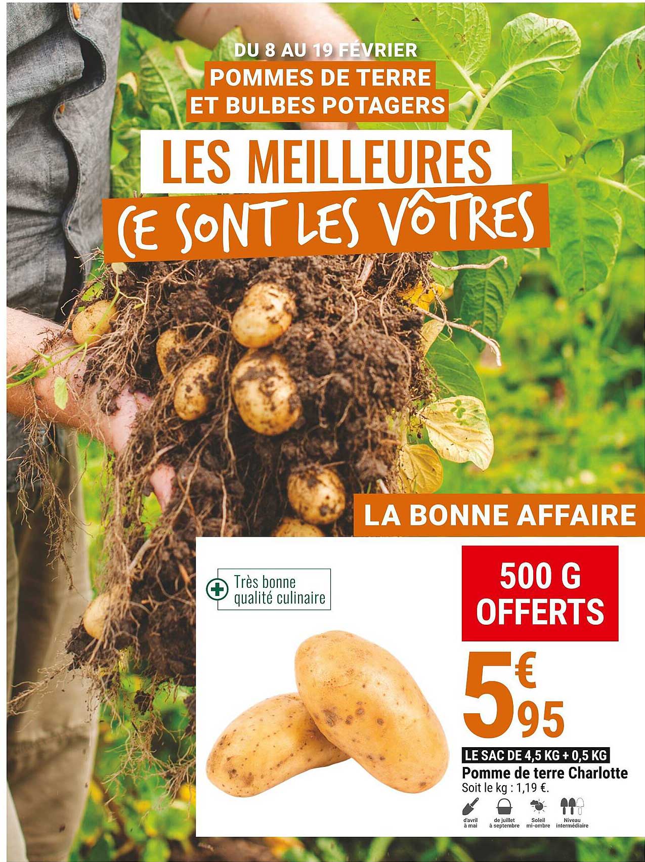 Pomme De Terre Charlotte