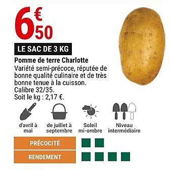 pomme de terre charlotte