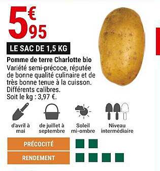 pomme de terre charlotte bio le sac de 1,5 kg
