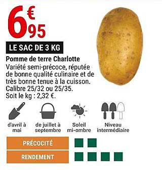pomme de terre charlotte le sac de 3 kg
