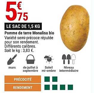 pomme de terre monalisa bio