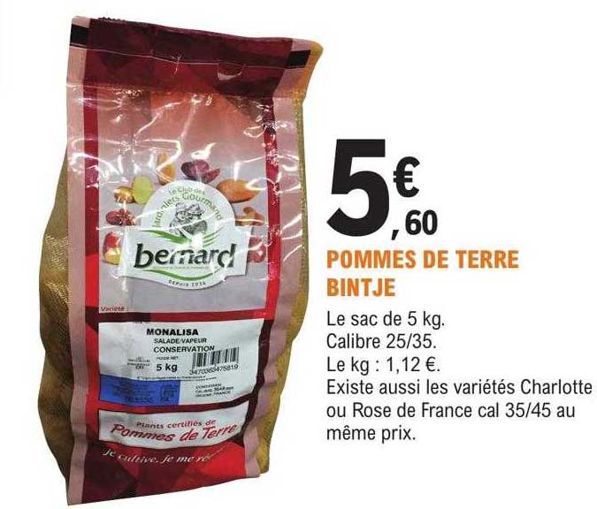 pommes de terre bintje