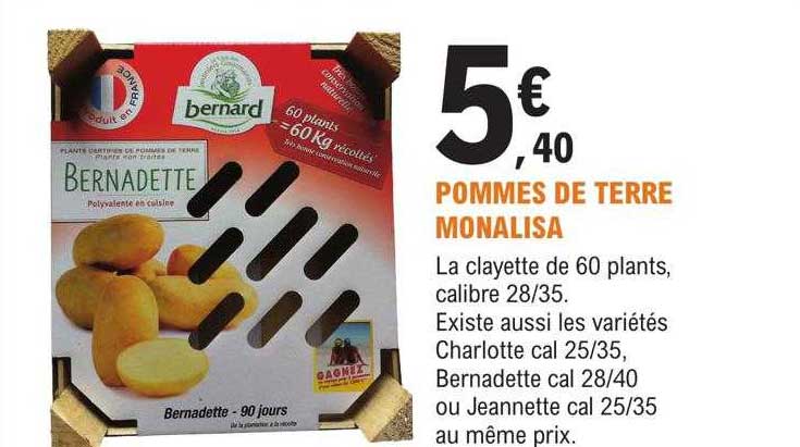 pommes de terre monalisa