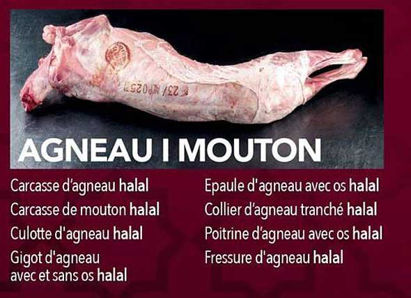 agneau i mouton