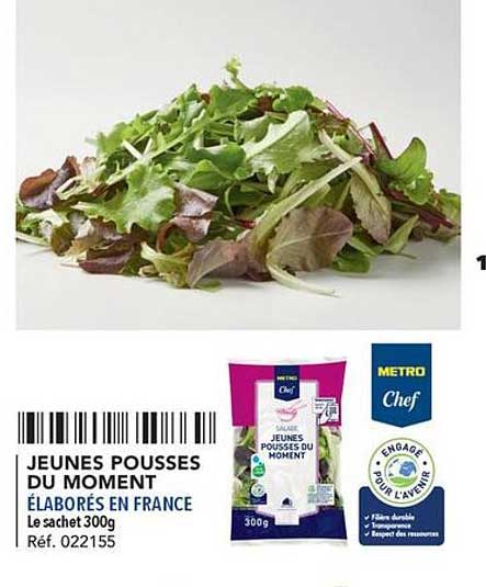 jeunes pousses du moment