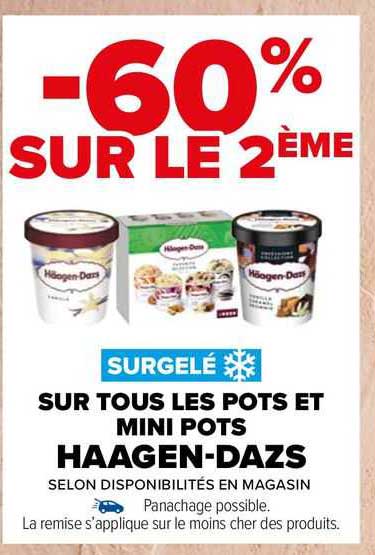 les pots et mini pots häagen-dazs
