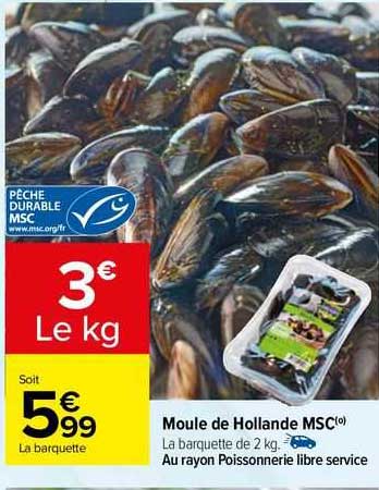 Moule De Hollande Msc