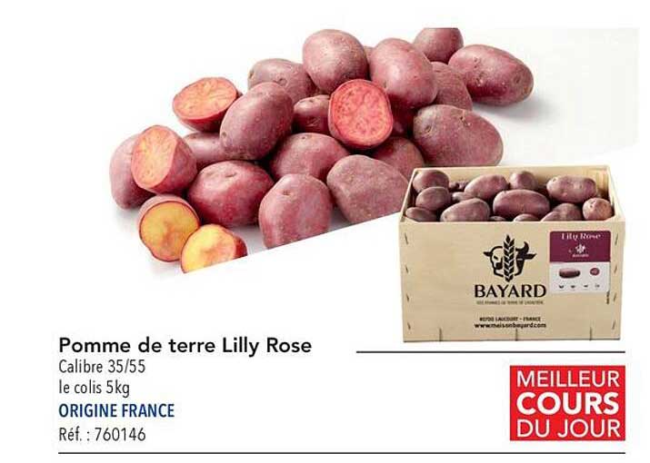 pomme de terre lilly rose
